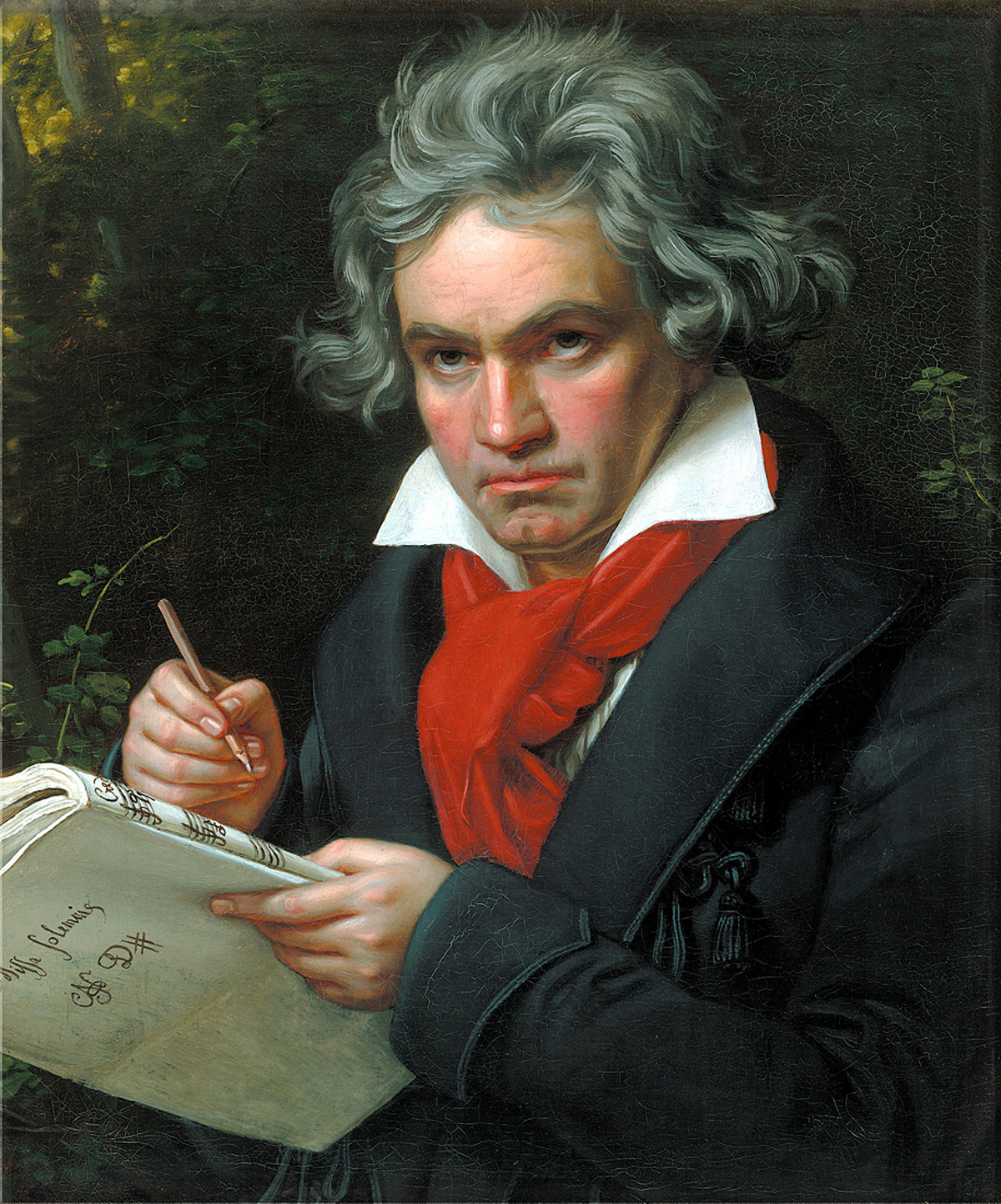 Beethoven: O Gênio que Ouviu com o Coração